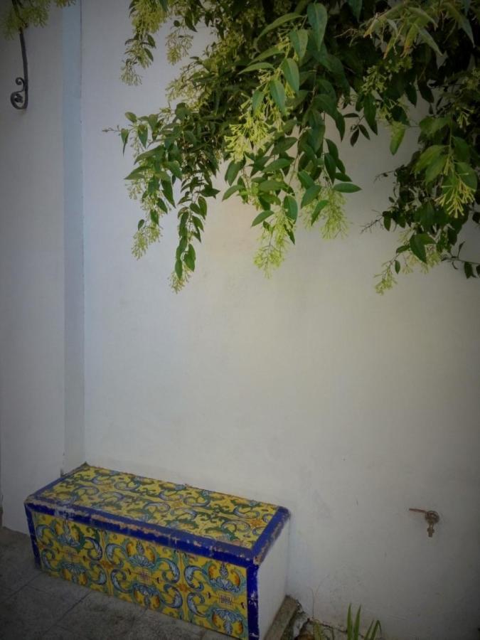 Apartment Alacas Sevilla エクステリア 写真