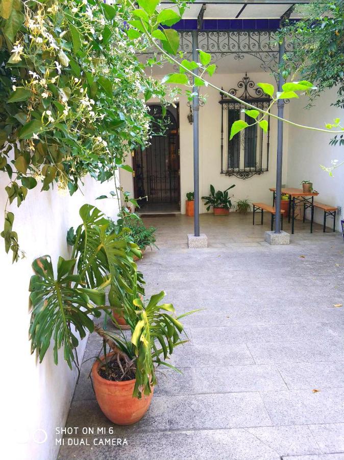 Apartment Alacas Sevilla エクステリア 写真
