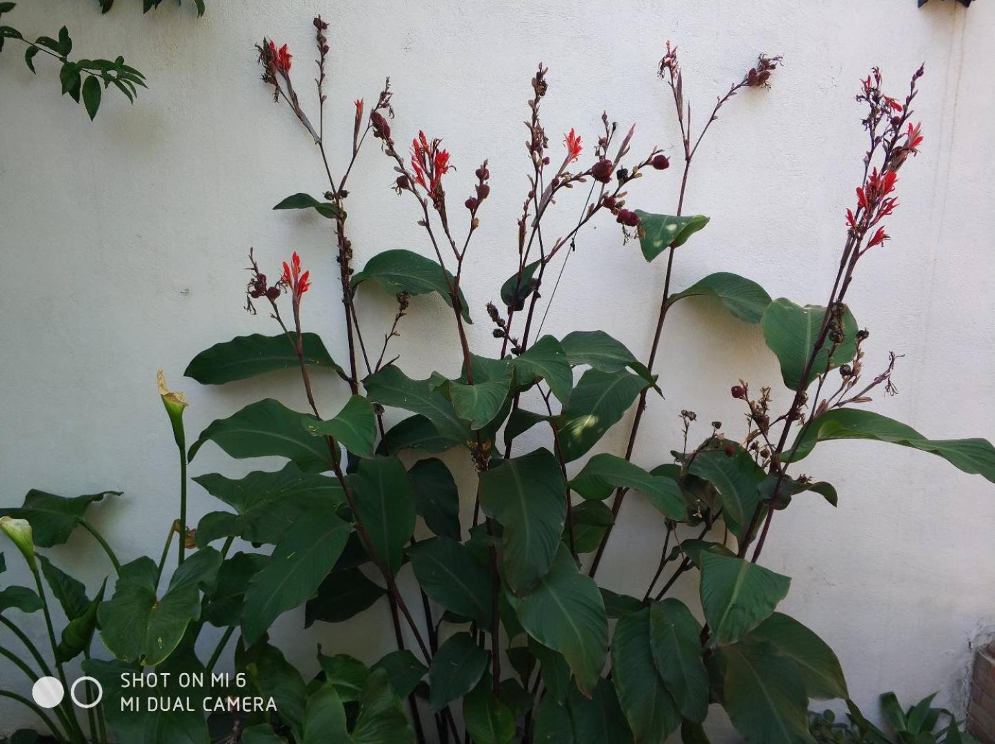 Apartment Alacas Sevilla エクステリア 写真