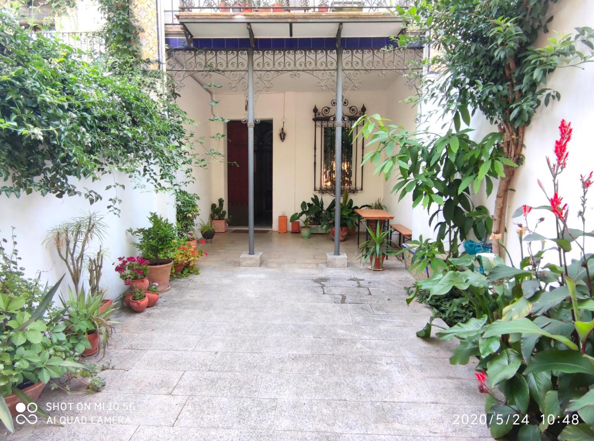 Apartment Alacas Sevilla エクステリア 写真